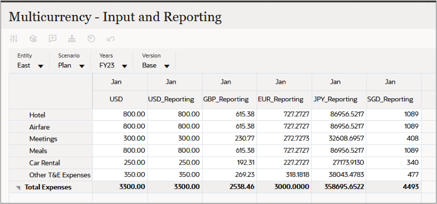 Data translated to reporting currencies on the form